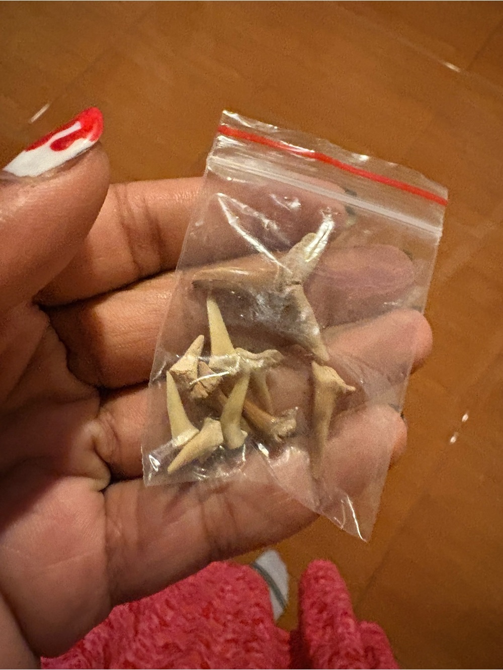 Shark Teeth